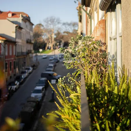 Fil's Place Bed & Breakfast