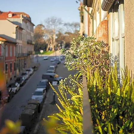 Bed & Breakfast Fil's Place Porto